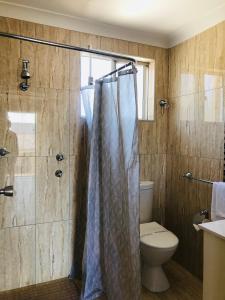 安特兰斯Buccaneer Motel的带淋浴帘和卫生间的浴室