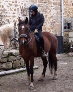 CovaneraHotel Rural Aguazul的一位妇女骑着棕色的马