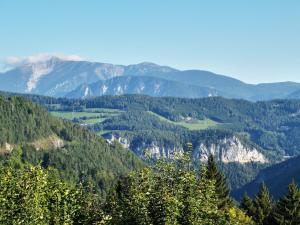 塞默灵Waldnest am Semmering的享有树木和山脉的山谷美景