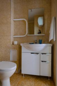 托木斯克Apart Petrovskie on Sovetskaya 60的浴室配有白色水槽和卫生间。