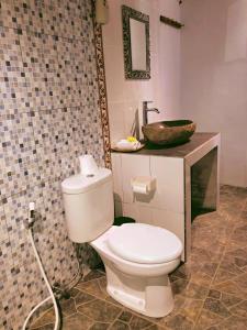 蓝梦岛The Lucky Cottage的一间带卫生间和水槽的浴室