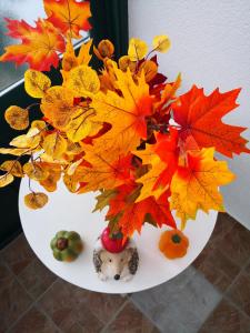 布雷拉Apartments Zina的花瓶里满是秋叶和填充动物