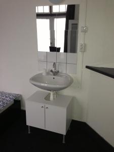 埃因霍温天鹅经济酒店的一间带水槽和镜子的浴室