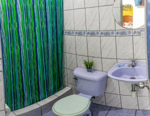 利马Tupac Lima Airport的浴室设有卫生间和绿色淋浴帘。