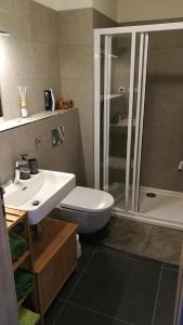 克维尔达apartmán Pod Lapkou的浴室配有卫生间、盥洗盆和淋浴。