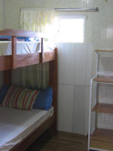 帕拉马里博Cosy home for short stay or a weekend getaway的客房设有两张双层床和一扇窗户。