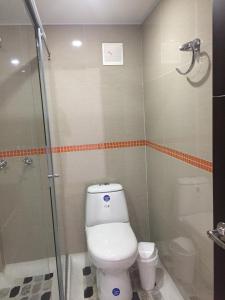 富萨加苏加Hotel Garden City Boutique的一间带卫生间和淋浴的浴室