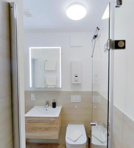 特里尔FeWo Trier的浴室配有卫生间、盥洗盆和淋浴。
