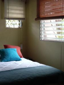 马那瓜Hostal Casa Los Espinoza的一间卧室配有一张带蓝色枕头的床