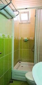 锡德Side Erenler Hotel的绿色浴室设有卫生间和淋浴。