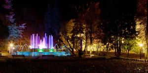 科沙林Apartamenty Prestiż 93的夜间公园里灯光喷泉