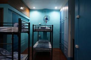 宿务Peach Haven的客房设有三张双层床和蓝色的墙壁。