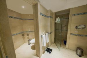 赫尔格达Sunrise Crystal Bay Resort -Grand Select的一间带卫生间和玻璃淋浴间的浴室
