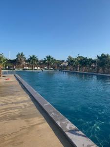 拉努韦勒港chez paulette 75的一座拥有蓝色海水和棕榈树的大型游泳池