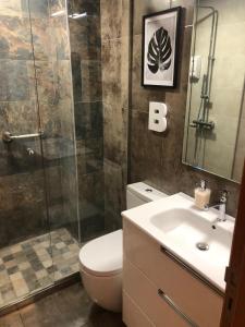 拉拉古纳La Laguna Luxe Apartment的浴室配有卫生间、淋浴和盥洗盆。