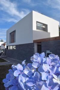 富尔纳斯Casa Alivas的房子前面的一束蓝色花