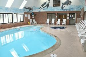 普里茅斯朝圣者金沙长滩酒店的游泳池,带椅子的房间和游泳池