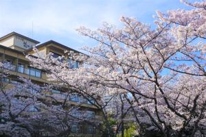 大津琵琶湖花街道旅馆的一座建筑物前有粉红色花的树