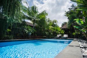 坎古范德旅馆的棕榈树屋前的游泳池