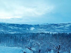莱帕乔德6 person holiday home in Kvalsund的享有雪覆盖的山谷和河流的景色