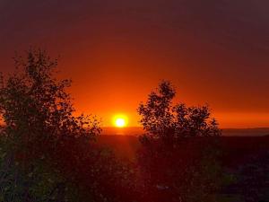 莱帕乔德6 person holiday home in Kvalsund的日落与太阳在远处的日落