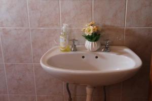 弗朗西斯敦Ntshe River Lodge的浴室水槽上放着花瓶