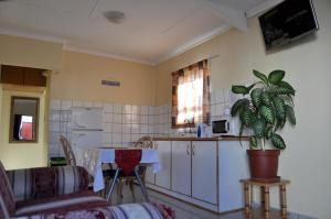 吕德里茨Timo's guesthouse accommodation的厨房配有桌子和盆栽植物