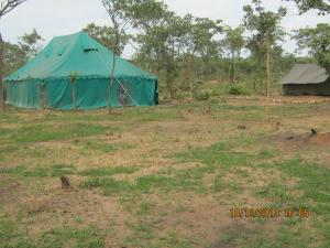 Lochinvar National ParkLochinvar Safari Lodge of Lochinvar National Park - ZAMBIA的田野中间的蓝色帐篷