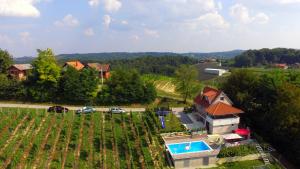 ŠtrigovaElizabeta Holiday Home的享有带游泳池的房屋的空中景致