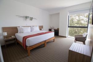 皮乌拉Tierra Viva Piura Hotel的酒店客房设有床和窗户。