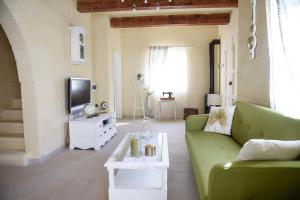 沙拉Melita的客厅配有绿色沙发和电视