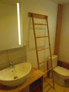 热拉梅LES CŒURS DU TILLEUL的浴室设有盥洗盆和厕所旁边的梯子