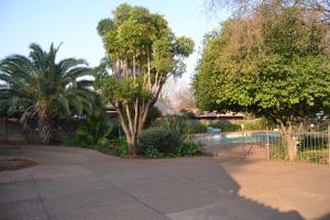 逊邱伦Green Grove Villa的一个带游泳池、树木和围栏的花园