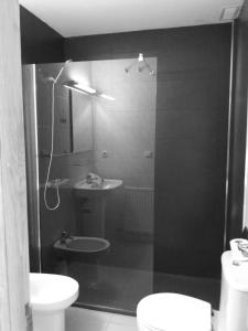 拉拉斯特里拉阿维尼达德尔索提约酒店的带淋浴、卫生间和盥洗盆的浴室