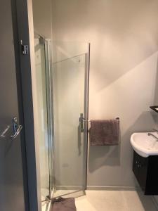 福克斯冰川Ivorytowers Accommodation的带淋浴和盥洗盆的浴室