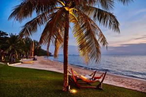 富国富国岛盛泰乐精选晨曦水疗及度假村的海滩上棕榈树和两把椅子下