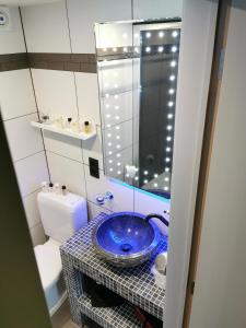 绍蒙－吉斯图LA RIVIERE DU BIEN ETRE的浴室配有蓝色水槽和卫生间。