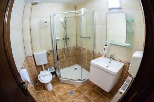 Hotel Trei Brazi的一间浴室