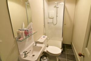 ChesthillGardeners Cottage的浴室配有卫生间、盥洗盆和淋浴。