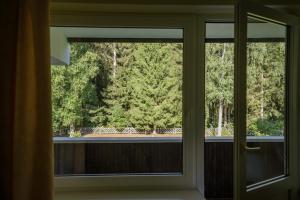 耶德库安特Egliu Slenis的窗户,享有树林美景