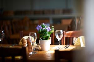 温彻斯特The Bugle Inn Twyford的酒杯桌子和盆栽植物