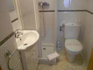 San Vicente de Castellet卡拉艾琳旅馆的浴室配有卫生间、盥洗盆和淋浴。