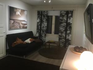奥卢Martantalo的客厅配有黑色沙发和窗户