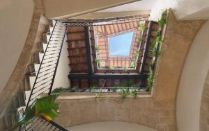 马略卡岛帕尔马Hotel Antigua Palma - Casa Noble的开放式楼梯,有窗户和植物