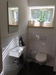格齐斯Wohnung in zentraler Lage im Rheintal的一间带卫生间、水槽和镜子的浴室