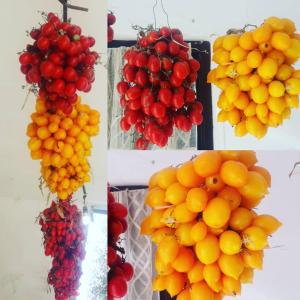 特拉蒙蒂Il Raduno的四张橙子和其他水果的照片