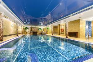 什切青帕克酒店的一座带天花板的大型游泳池