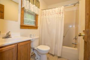 Spruce Pine春仆山酒店的浴室配有卫生间、盥洗盆和淋浴。