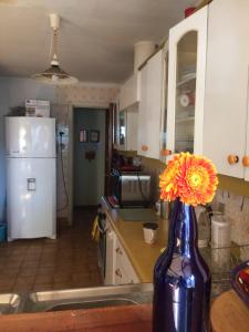 圣地亚哥JI Home Boutique的厨房里装有鲜花的蓝色花瓶