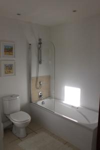 蚝湾Oyster bay beach house的带淋浴、卫生间和盥洗盆的浴室